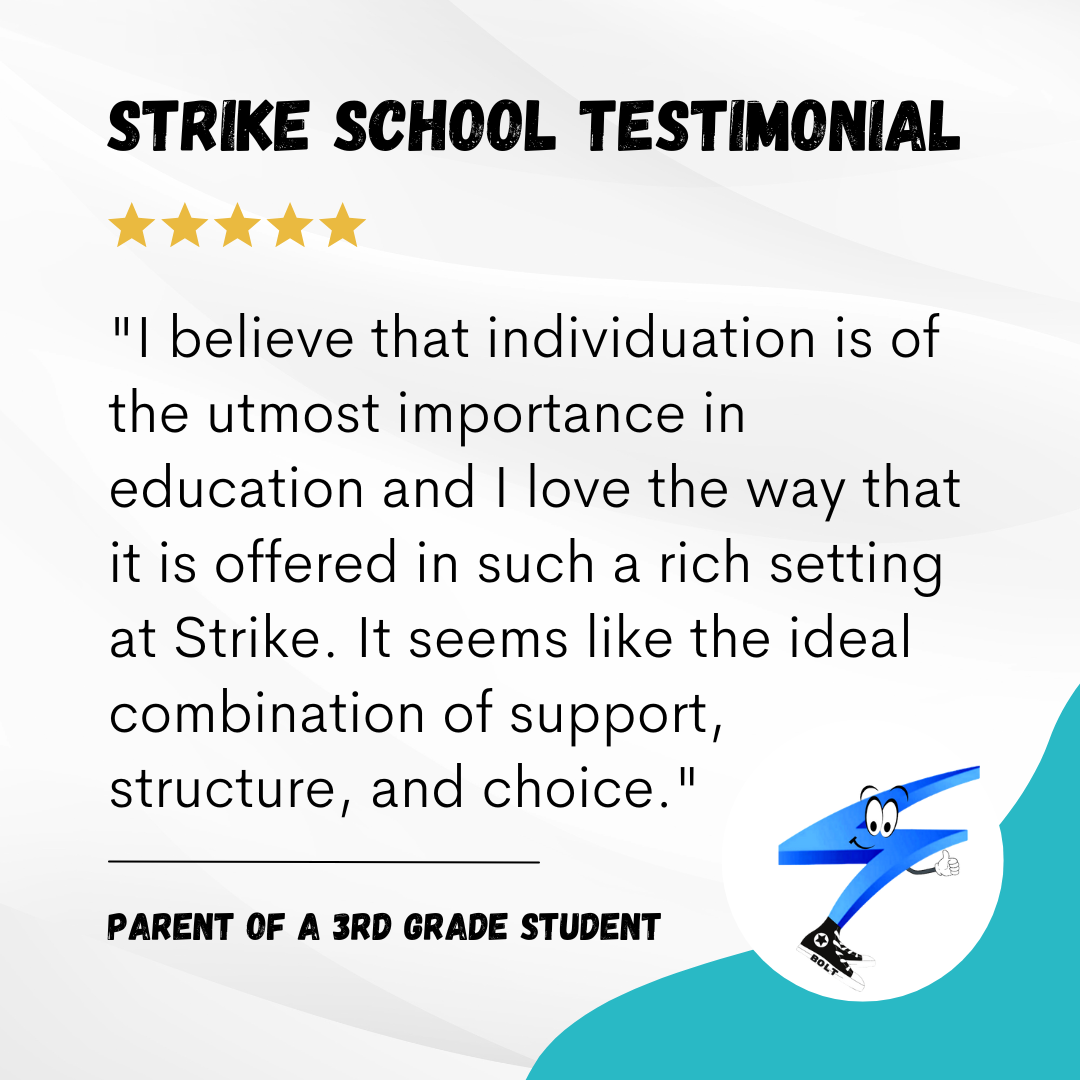 Strike School Testimonial - K-12 Online School